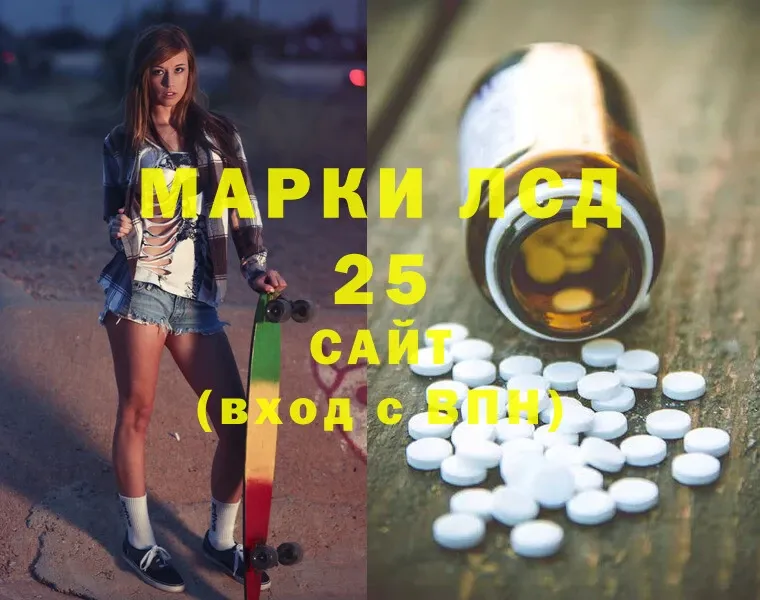 купить наркотик  Каменка  Лсд 25 экстази ecstasy 